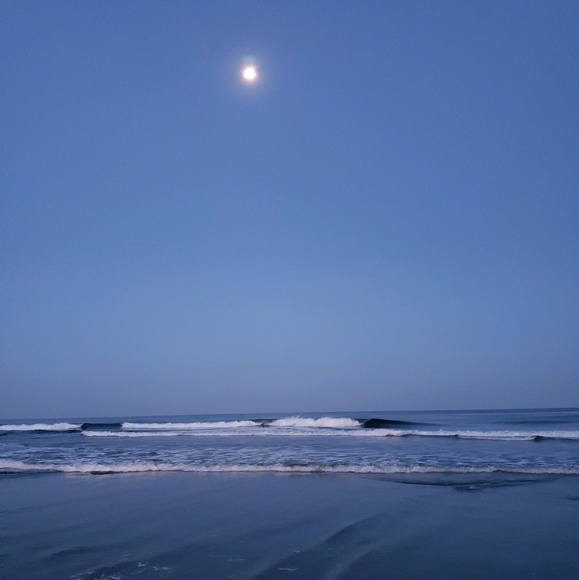 Meet your Posher, Erin - Picture 1 of 1